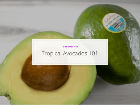 Tropical Avocados 101