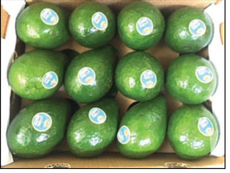 Box of Tropical Avocados