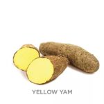Yellow YAM
