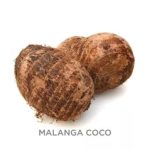 Malanga Coco
