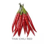 Thai Red Chili