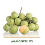 Mamoncillos