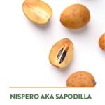 Nispero aka Sapodilla